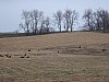 DSC05925.jpg