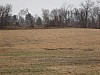 DSC05926.jpg