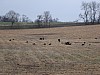 DSC05927.jpg