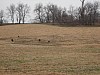 DSC05929.jpg
