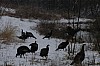 DSC_0001.jpg