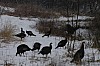DSC_0002.jpg