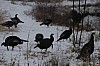 DSC_0003.jpg