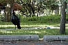 DSC_0003.jpgb.jpg