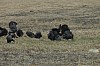 DSC_0004.jpg