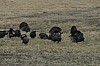 DSC_0006.jpg