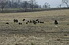 DSC_0009.jpg