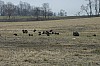 DSC_0010.jpg