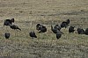 DSC_0011.jpg