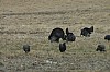 DSC_0012.jpg