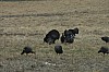 DSC_0013.jpg