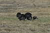 DSC_0014.jpg