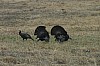 DSC_0015.jpg