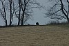 DSC_0016.jpg