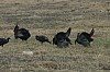 DSC_0018.jpg