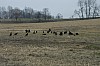 DSC_0022.jpg