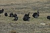 DSC_0023.jpg
