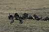 DSC_0024.jpg