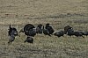 DSC_0025.jpg