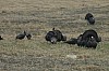 DSC_0026.jpg