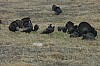 DSC_0028.jpg