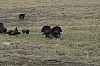 DSC_0029.jpg
