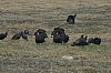 DSC_0030.jpg