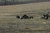 DSC_0031.jpg