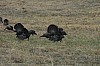 DSC_0032.jpg