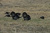 DSC_0034.jpg