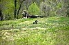 DSC_0034.jpgb.jpg