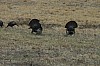 DSC_0035.jpg