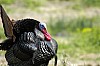 DSC_0039.jpgb.jpg