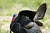 DSC_0041.jpgb.jpg
