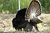 DSC_0042.jpgb.jpg