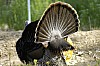 DSC_0043.jpgb.jpg