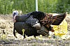 DSC_0044.jpgb.jpg