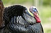 DSC_0045.jpgb.jpg