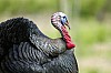 DSC_0046.jpgb.jpg