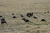 DSC_0047.jpg