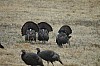 DSC_0049.jpg