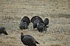 DSC_0050.jpg