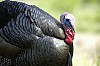 DSC_0051.jpgb.jpg