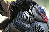 DSC_0052.jpgb.jpg