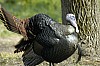 DSC_0053.jpgb.jpg