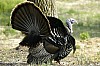 DSC_0054.jpgb.jpg