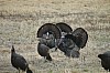 DSC_0055.jpg