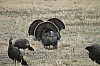 DSC_0057.jpg