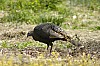DSC_0057.jpgb.jpg
