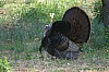 DSC_0058.jpg